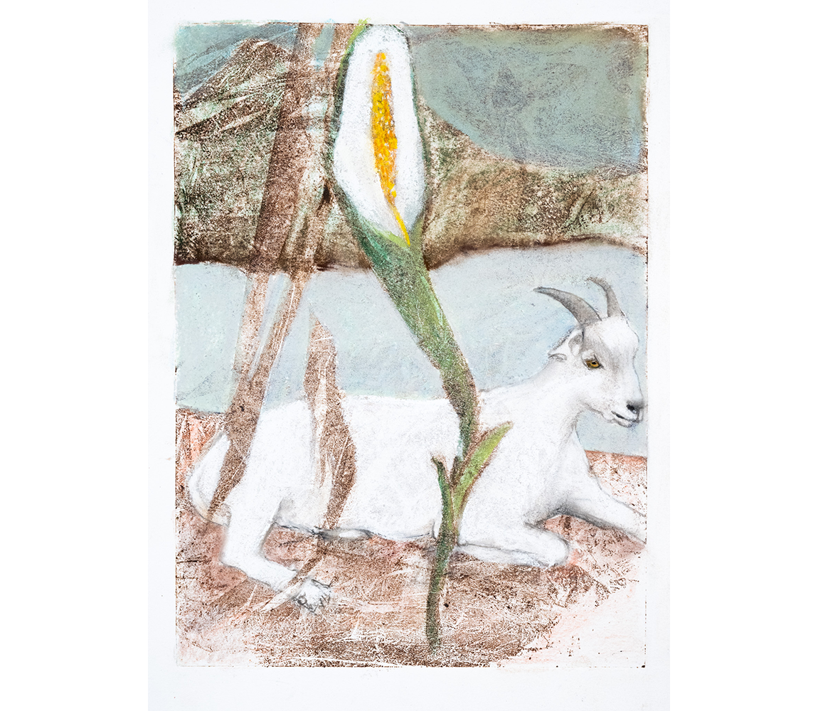 "This Morning" - Marilyn Frasca